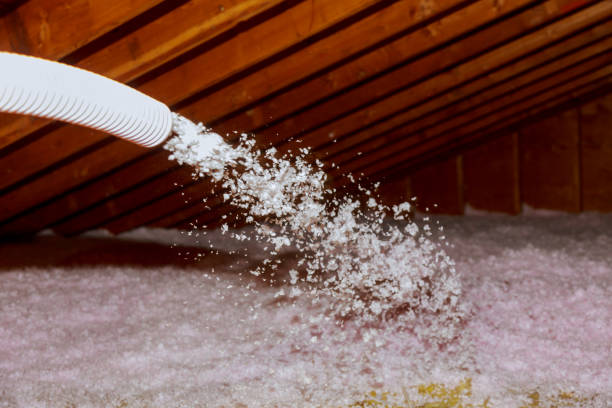 Best Cellulose Insulation in Shoreline, WA