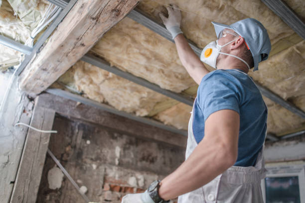Best Eco-Friendly Insulation in Shoreline, WA