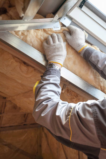 Types of Insulation We Offer in Shoreline, WA