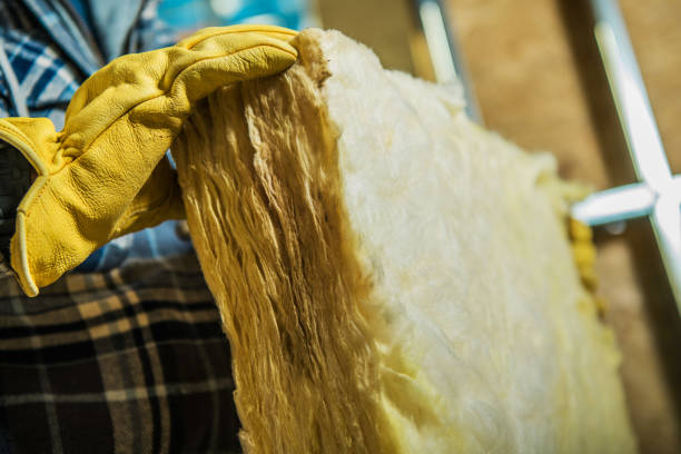 Best Specialized Insulation Services in Shoreline, WA